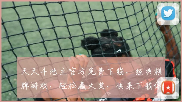 天天斗地主官方免费下载，经典棋牌游戏，轻松赢大奖，快来下载体验