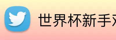 世界杯新手观赛指南 Logo